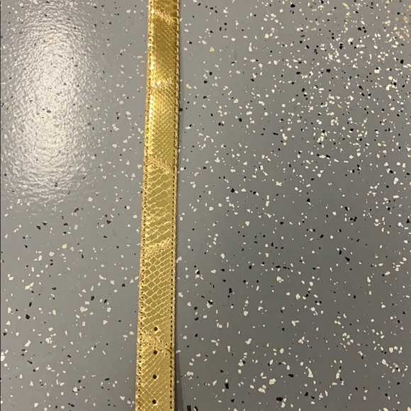 Gold Made In Italy Snake Skin Belt . main image 4